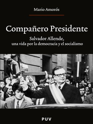 cover image of Compañero Presidente